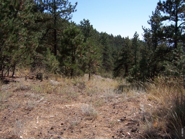 0 Woodchuck Dr Loveland, CO 80541