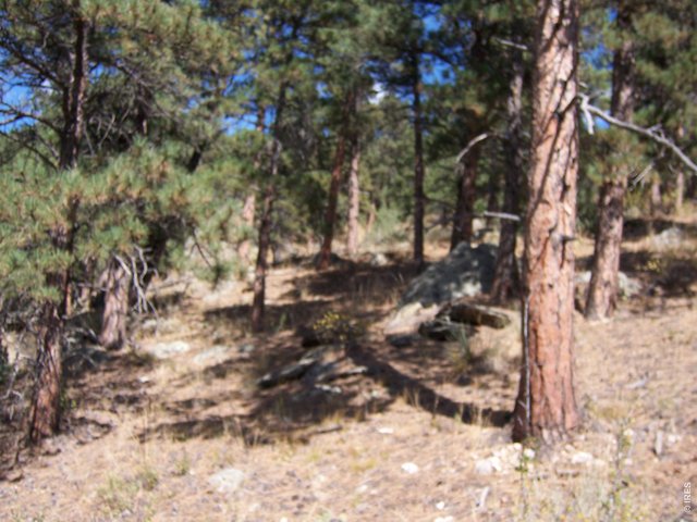 0 Woodchuck Dr Loveland, CO 80541