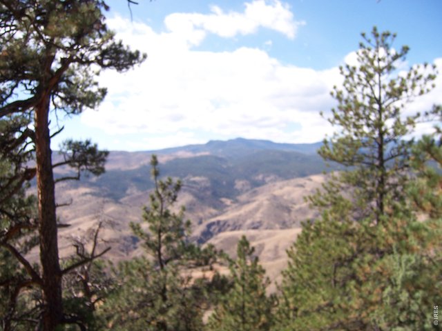 0 Woodchuck Dr Loveland, CO 80541