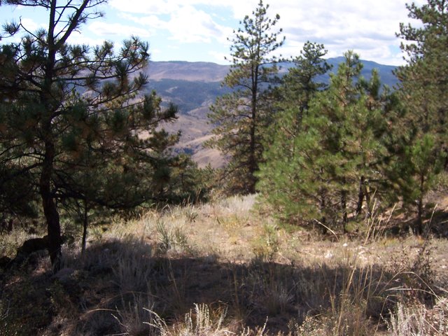 0 Woodchuck Dr Loveland, CO 80541