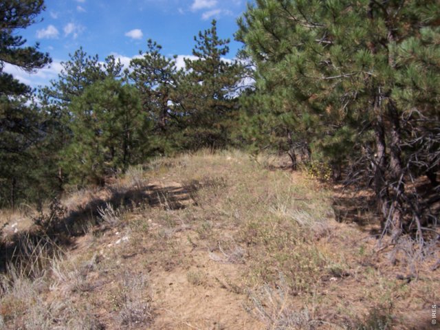 0 Woodchuck Dr Loveland, CO 80541