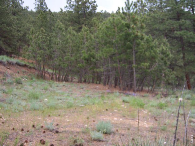 0 Woodchuck Dr Loveland, CO 80541