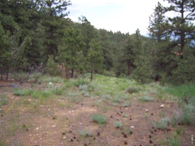 0 Woodchuck Dr Loveland, CO 80541