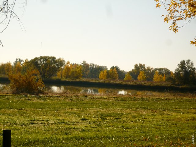 12366 Mineral Rd, Longmont, CO 80504