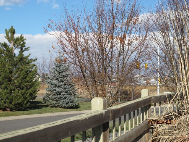 14359 Lakeview Ln, Broomfield, CO 80023, MLS #670280