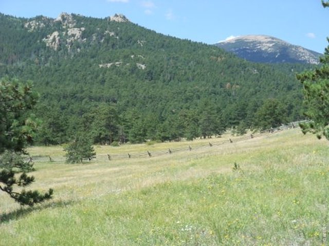 Home