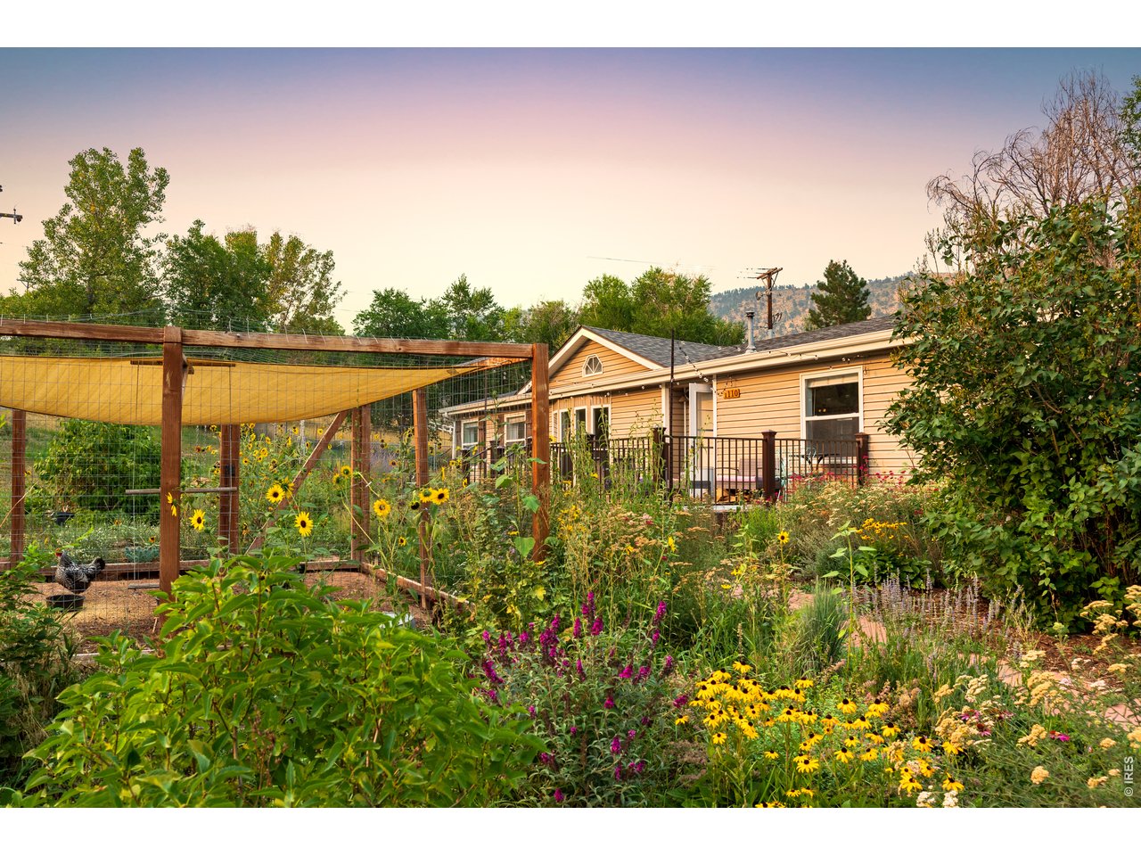 1110 5th Ave, Lyons, CO 80540
